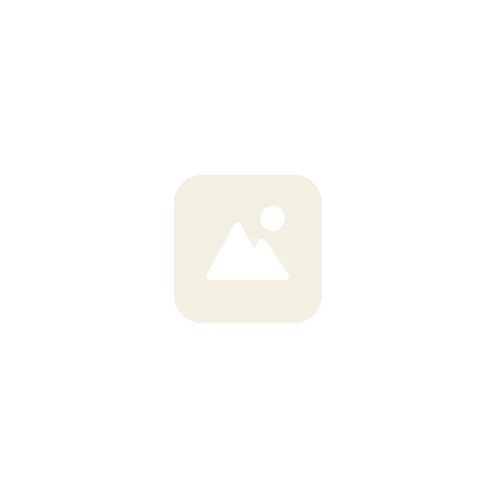 CORTINA Cortina voorvork E-Common DB eclips black