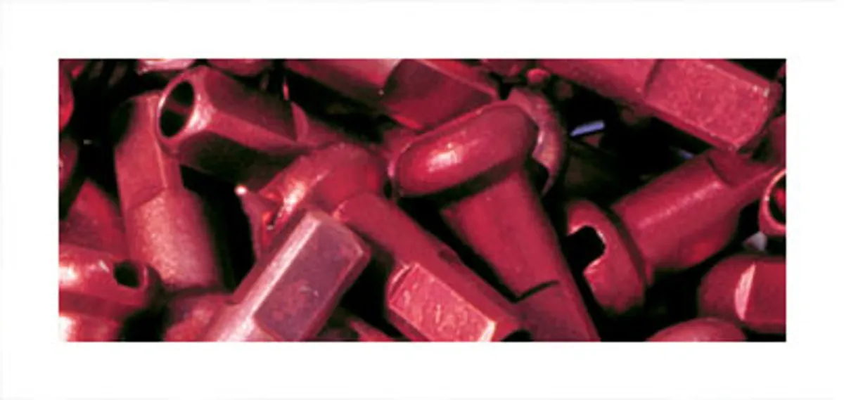 DT SWISS SPAAKNIPPEL DT AL 14 12MM ROOD DS A 100