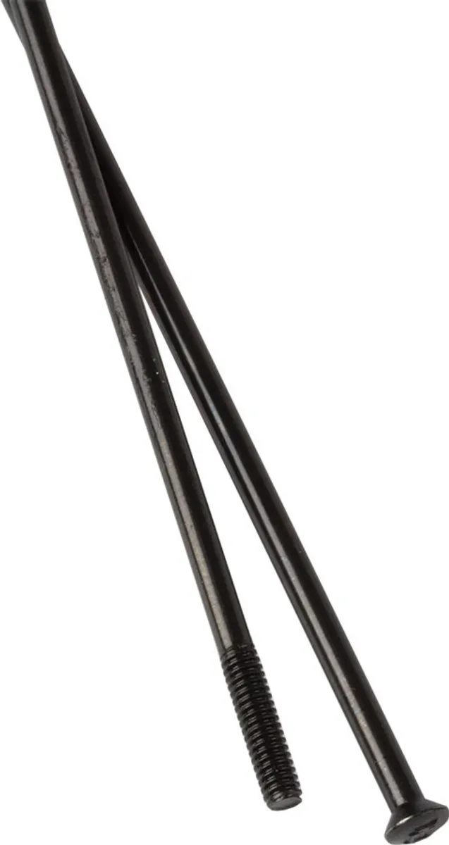 DT SWISS SPAAK 14X306 DT CHAMPION SP ZW DS A 100