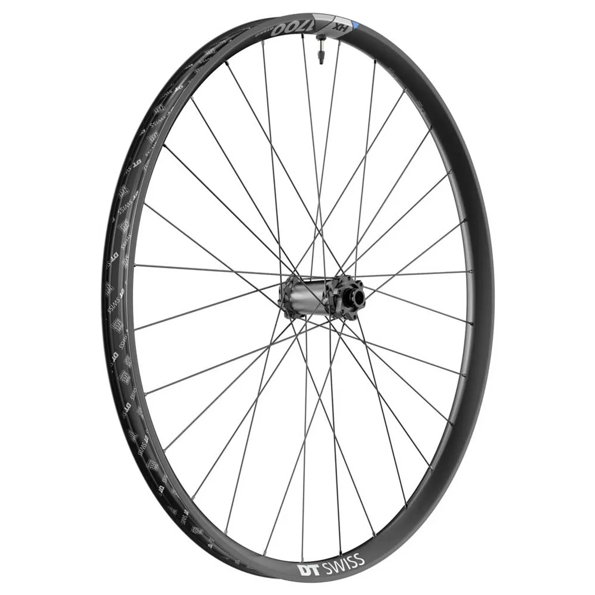 DT SWISS WIEL V 29 DT HX1700 SPLINE 35 DB 110/15