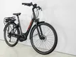 TREK Verve+ 2 Lowstep L Dnister Black 300WH