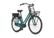 GAZELLE HEAVYDUTYNL C7+ HMB L46 Thyme green H7