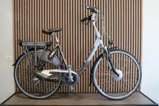 Gazelle Medeo + Innergy Dames grijs 53cm