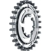 GATES Gates CDX achtertandwiel 22 tands Enviolo / Nuvinc