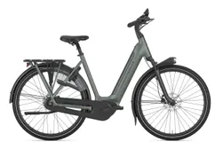 Gazelle Grenoble 3.0 C8+ Hmb L53 Twilight Green S8 (mat)