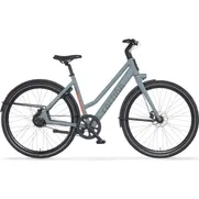 CORTINA E-Lett L57 Squirrel Grey Matt DB 36v PRM