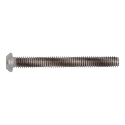WURTH EBP BOUT M3X8 TORX10 A2 RVS