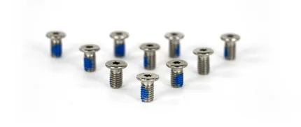 WURTH ANP BOUT 6X10 TORX T20 7984 LT RVS DS A 10