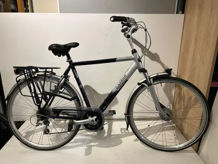 Gazelle Orange T24