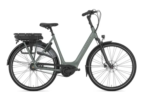 GAZELLE ORANGE C8+ HMB DISC L57 Twilight green S8 (Mat)